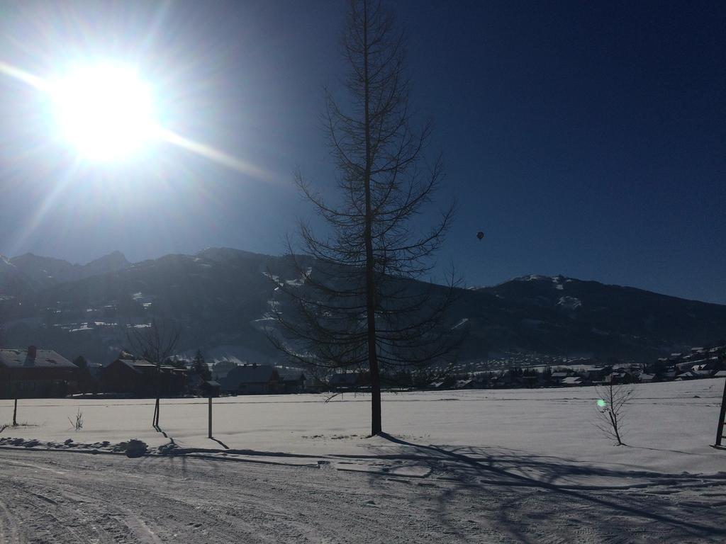Apartmenthaus Rapplhof Bagian luar foto